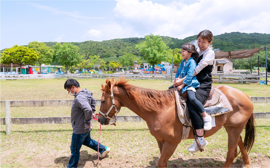 乗馬