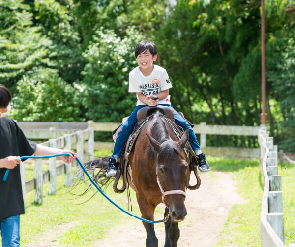 乗馬