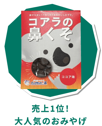コアラの鼻くそ